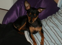 261925 1606659585394 7929624 n