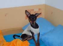 282030 1687248000054 4513541 n