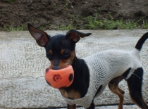 285542 1693035544739 7143877 n