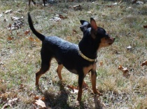 292562 2534586502987 2005033590 n