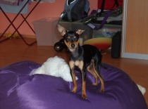 303753 1835750272518 2003727170 n 0