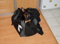 308334 1835716111664 318239023 n 0