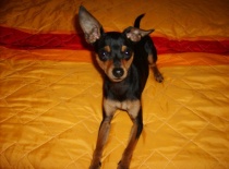 315766 1835749632502 2023162796 n 0