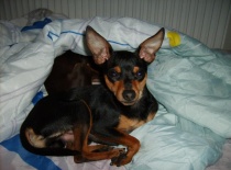 480170 2672702915811 2134407191 n 0