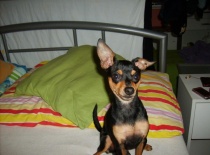 550707 3269897805310 723505675 n 0