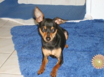 561914 2613314631141 2120483791 n 0