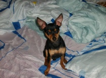 579160 2672639474225 672723304 n 0