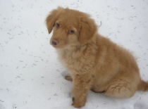 Zase mně fotíš? to jako vážně? 