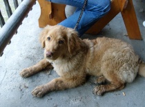 Právě jsem se koupal! Nefoť mně