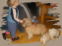 Hanička dává pejskovi piškotku