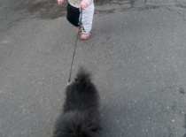 Archi s Haničkou v těsném závěsu