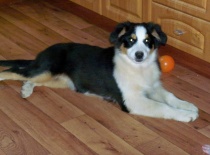 Už jsem povyrostla.