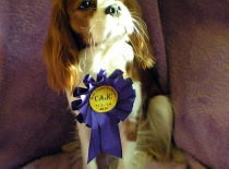 Bella - 16 měsíců