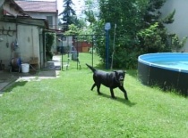 6168 1124819613713 6155667 n