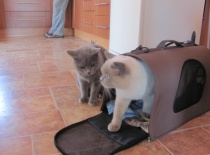 Sníh a Mikeš setkání po téměř roce.