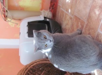 Mikeš tam se mnou snad nepůjdeš ne?