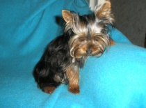 26318 105309226160232 100000434648219 136551 2864396 n