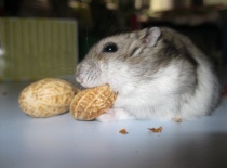 37cd805e89 75814460 o2