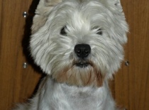 423352 1904239823398 1703749780 n