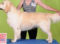 Grand Prix Slovakia Winner 2011