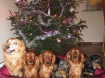 [field_gallery-nid]_[filefield-onlyname-original].[filefield-extension-original]