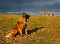 Agátka před bouří :D