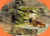 Agííík na Choustníku :D