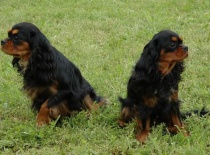 Evry a její sestřička ... :D