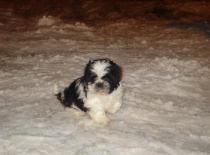 právě jsem vystoupil z auta v novém domově ;-)