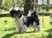 jo jo, to mi bylo pár měsíců