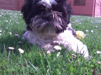 panička ze mě dělá modela už od mala