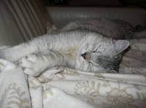 hmm tu sa dobre spinká