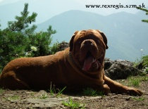 Magis1 Rexregis chov.stanica