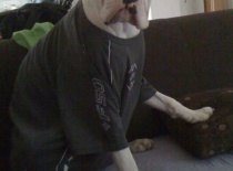 No jo na zimu musíme pyžamo