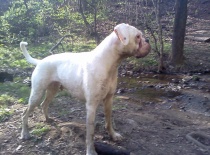 už je z ní velká holka