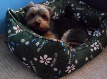 Pelíšek má  nejraději :)