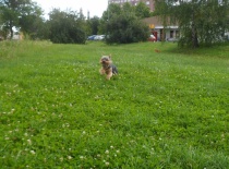 Aportování, to je jeho!