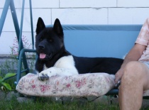 [field_gallery-nid]_[filefield-onlyname-original].[filefield-extension-original]