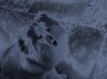 Missinčina upravená fotka