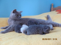 Bylo těžké nás všechny uhlídat