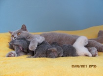 A jsme všichni kluci!!