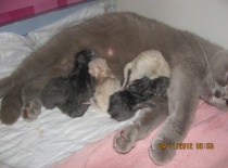 3.vrh - byla to dřina