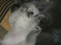 Když spíme tak spíme