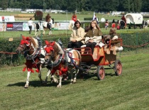 Pardubice 2011