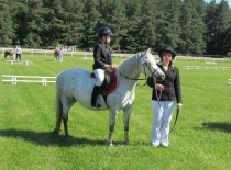 Welsh pony sekce B