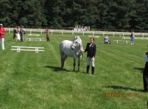 Mladý vystavovatel Viki