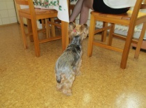 počkám, jestli mi daj'..