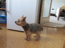 Koukám, co jedí...