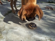 2012 05 27 17.17.06 0