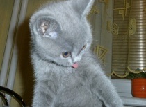 Očista je důležitá :-)